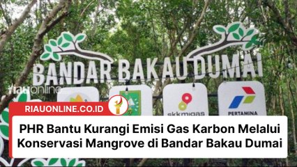 PHR Bantu Kurangi Emisi Gas Karbon Melalui Konservasi Mangrove di Bandar Bakau Dumai