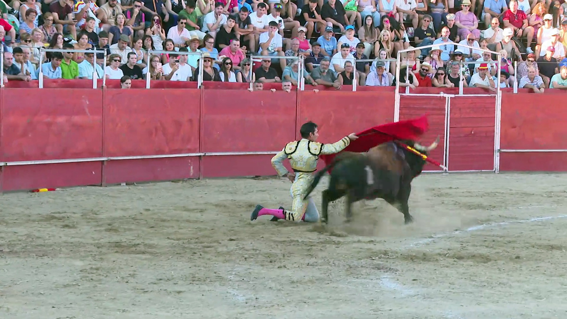 Festejos de verano VII