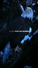 Face everything #motivation #viral #trending #dailymotion #usa #top