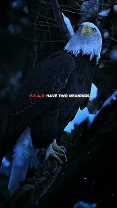 Face everything #motivation #viral #trending #dailymotion #usa #top