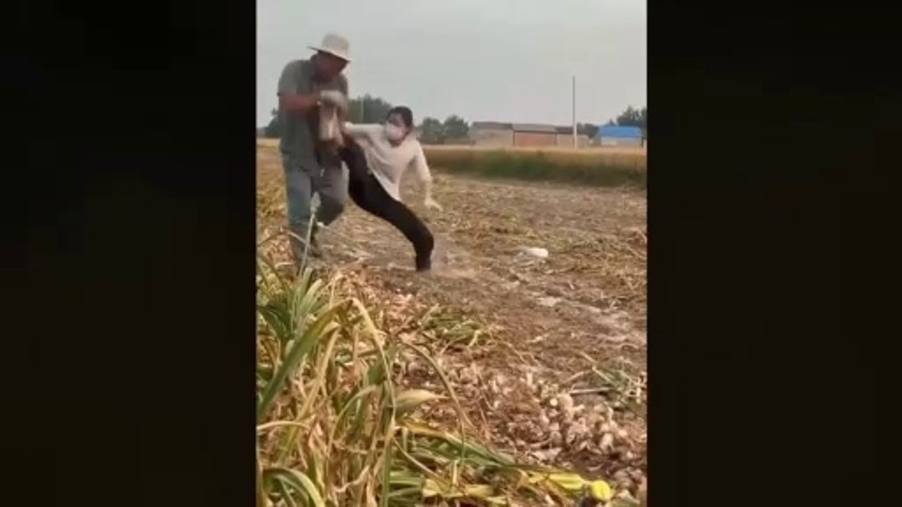 TRY NOT TO LAUGH Best Funny Videos compilation Fail Of Videos P21
