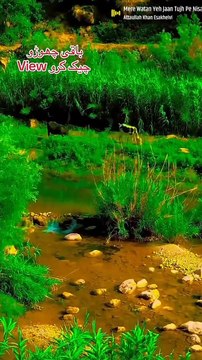 GREEN TREES,,, It is top green land every things here,lakes, river, mountain and trees