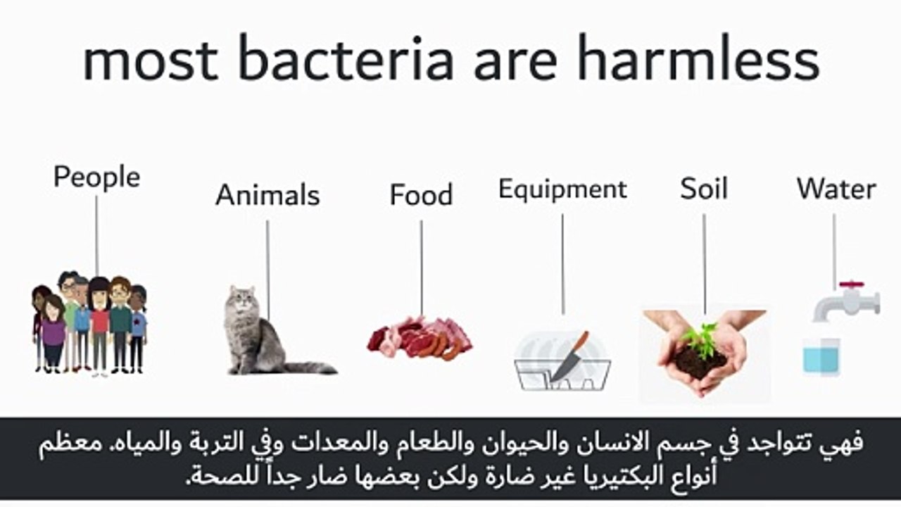 Dubai Municipality Foodwatch - Food Contamination with Arabic Subtitles