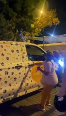 Başıboş köpekleri toplayan ekiplere saldırı! Tehditler havada uçuştu