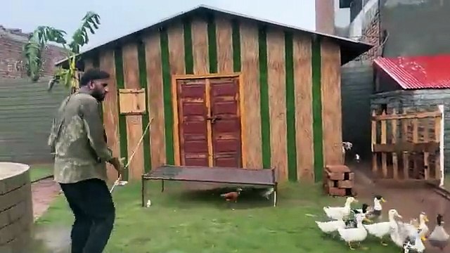 shehar mein dehat ep 34 2024 animal mini zoo Fish Well Over Flow HogeaBht Taiz Barish Ai