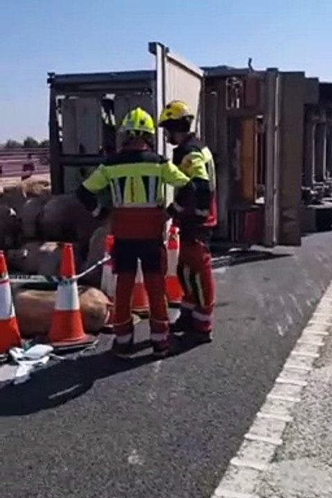 Accidente de un vehículo de transporte animal en Madridejos