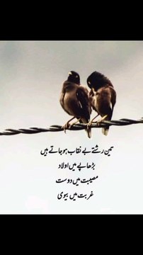 اور غربت میں بیوی #trending#viral#shorts#islamic#follow#foryou#dailymotion#share