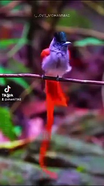 *❤️ تلاوت قرآن کریم ❤️* *ﺍَﻟﻠّٰــــﻬُﻢَّ ﺍﻏْـــــﻔِﺮﻟَﻨﺎ ﺫُﻧُﻮﺑَﻨﺎ ﺑِﺎﻟْﻘُـــﺮﺁﻥ*