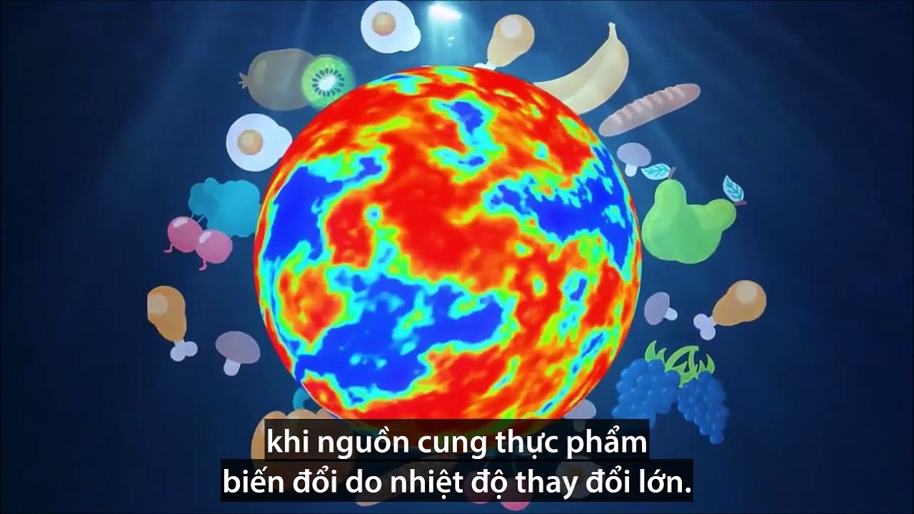 Con người giao tiếp với cá heo bằng cách nào-