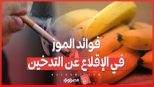 ما هي فوائد الموز في الإقلاع عن التدخين؟
