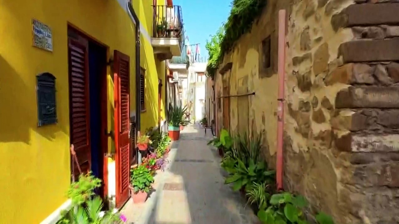 Rtp Telegiornale 26 agosto 2024