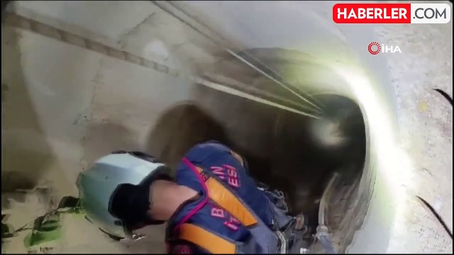 Batman'da su kuyusuna düşen inek halatlı makarayla kurtarıldı