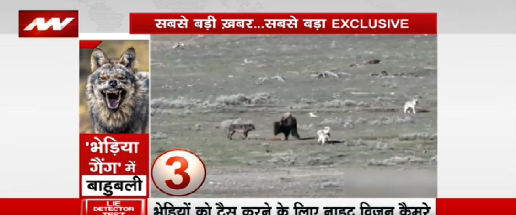 सबसे बड़ी खबर  सबसे बड़ा EXCLUSIVE