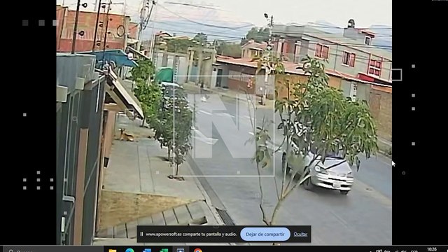 Buscan al conductor que atropelló a un perro de manera violenta