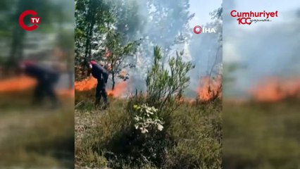 Pendik Kurtdoğmuş Köyü’nde korkutan yangın: Köylüler seferber oldu