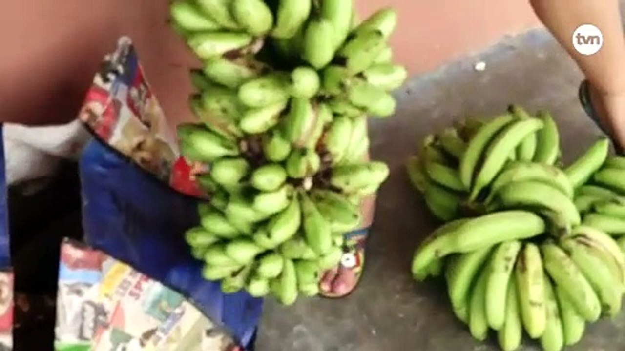 De pueblo en pueblo: Costa Abajo de Colón