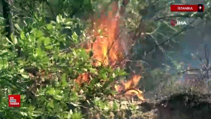 İstanbul Pendik Kurtdoğmuş Köyü’nde korkutan yangın
