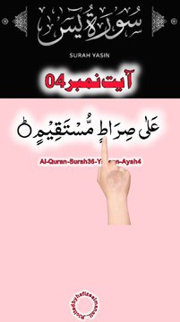 Al-Quran - Surah 36 - Yaseen - Ayah 4 | daily tilawat quran | hafiz salman ali