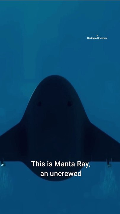 Manta Ray Drone