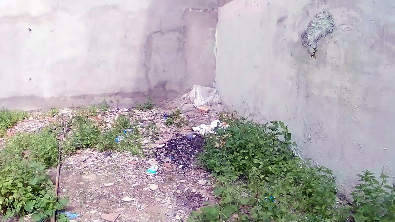 Frightened stray little cat trusts stranger for the first time