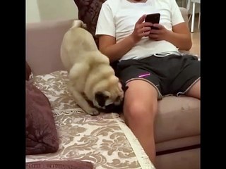 Funny video #funny #viral #trending #comedy #short #viralshorts #entertainment #fun