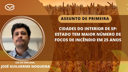 Cidades do interior de SP: Estado tem maior número de focos de incêndio em 25 anos