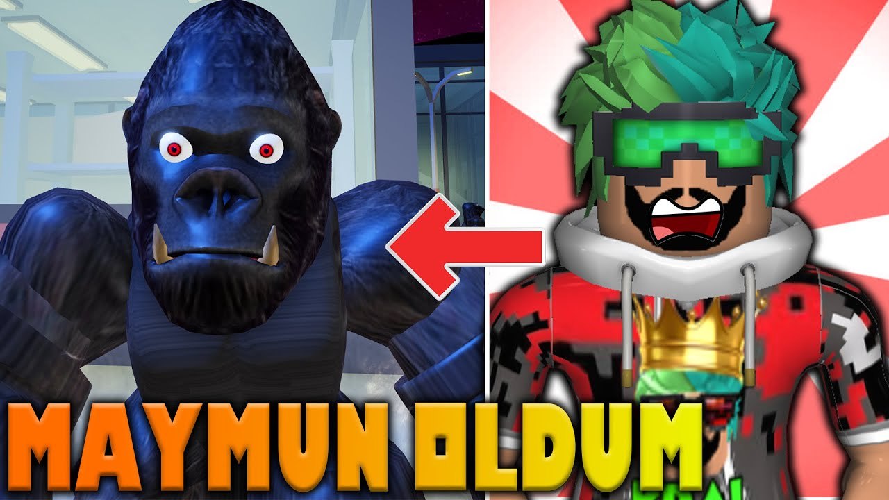 Maymun Olduk Şehri Dağıttık | Roblox Goril  | Roblox Türkçe Han Kanal Buse Duygu Pratik Oyun
