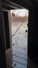 "Trying To Get Through The End Of The Work Week Like Follow For More"....!!