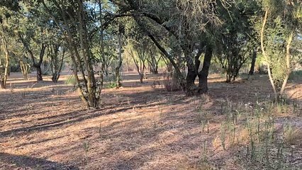 Pixel 9: Capture 4K60fps Video 🎥