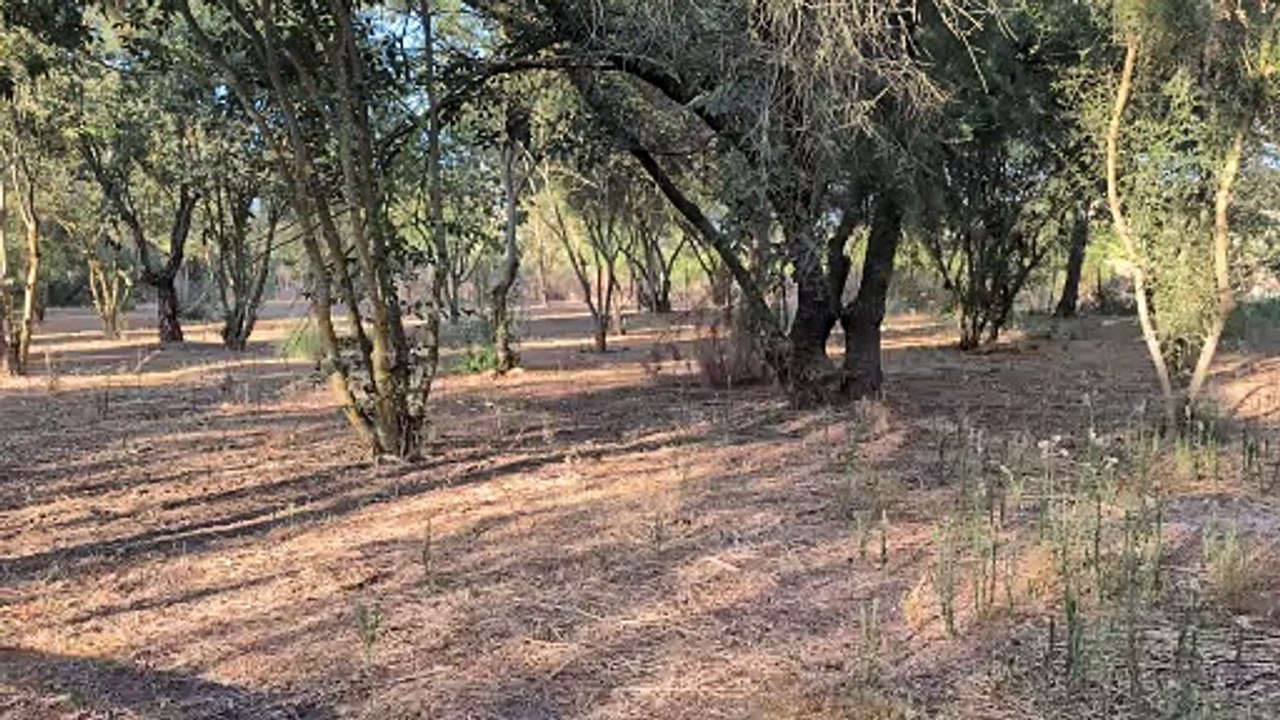 Pixel 9 - 4k60fps