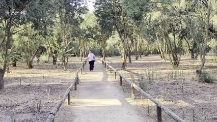 Pixel 9: 4K 30fps Recording 🎥