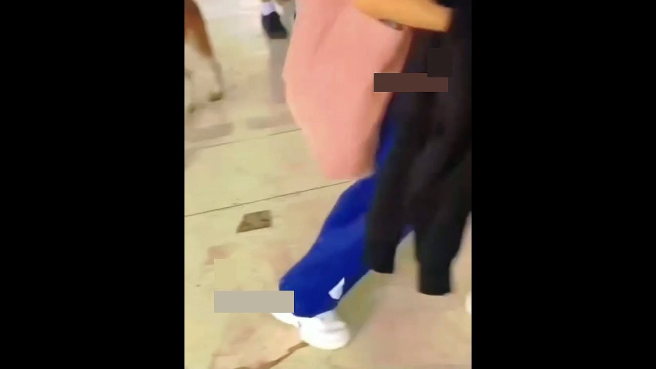 Dog Funny Sex