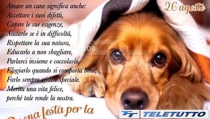 Video News - A Brescai 195mila cani e nessun randagio