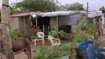 VIDEO | Así viven los migrantes que llegan a La Guajira por crisis venezolana