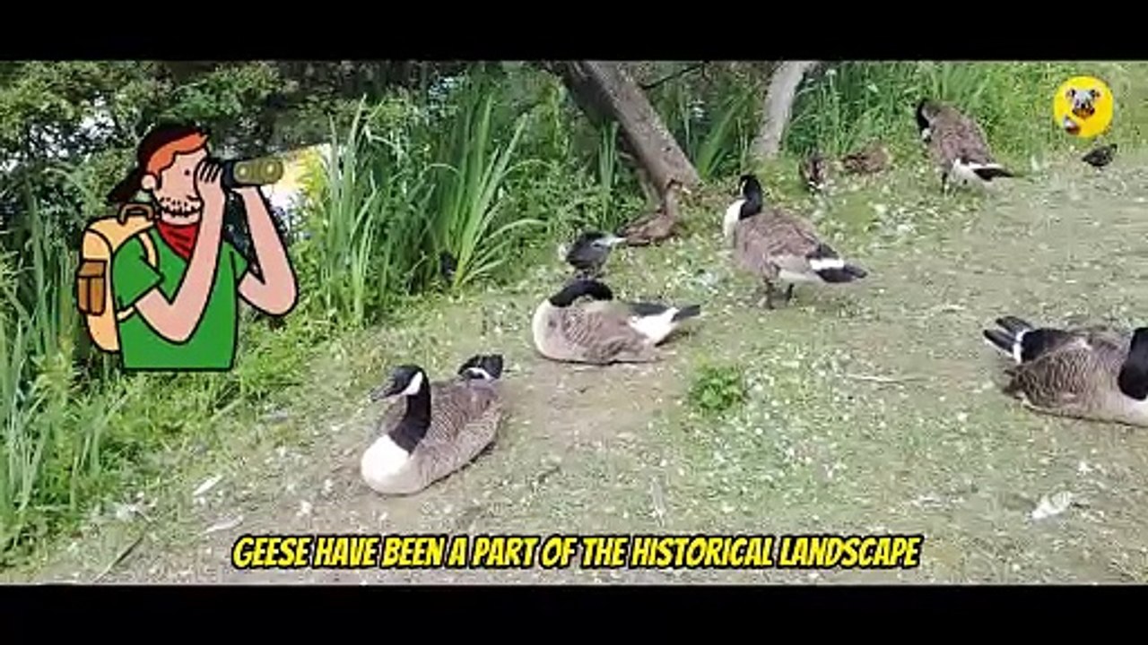 Royal Geese at Royal Botanic Gardens, Kew, London