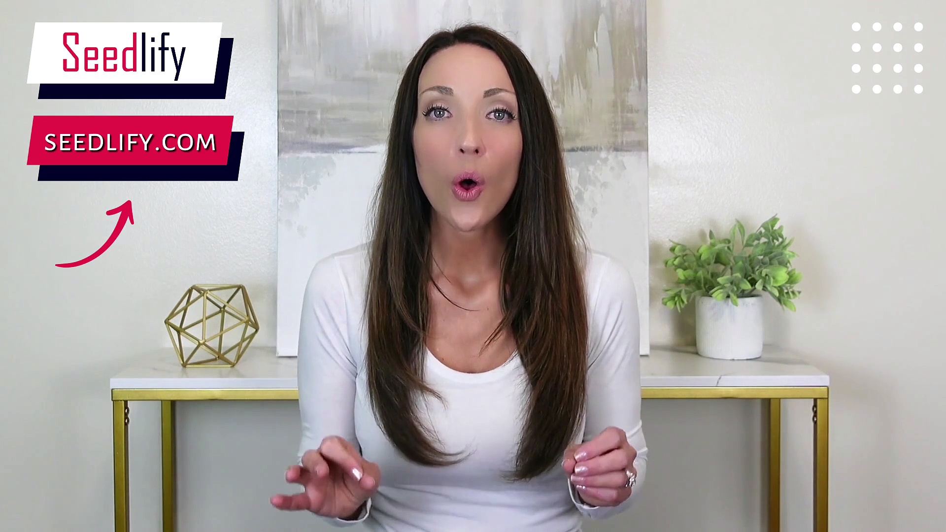 Seedlify Agency Presentation: Website, Stores & Apps