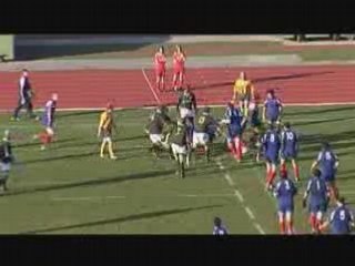 rugby france afrique du sud