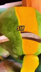 14. Pastiin standar motor sudah naik atau belum ?