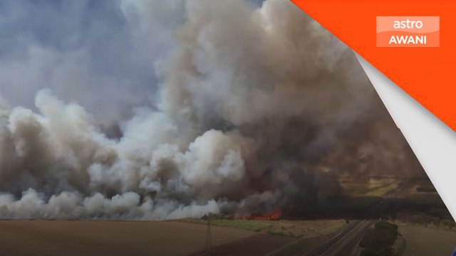 Sao Paulo tubuh Kabinet Krisis tangani kebakaran hutan