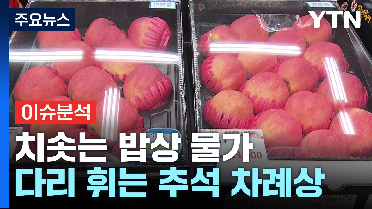 [뉴스UP]  치솟는 밥상 물가...추석 차례상 비용도 '껑충' / YTN