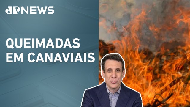 IA News: Incêndios podem causar prejuízos de R$ 350 milhões a produtores
