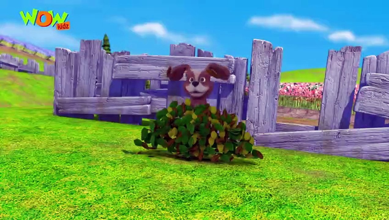 Dog Day Special Vir And Dingo Dog _ Dingo Dog English