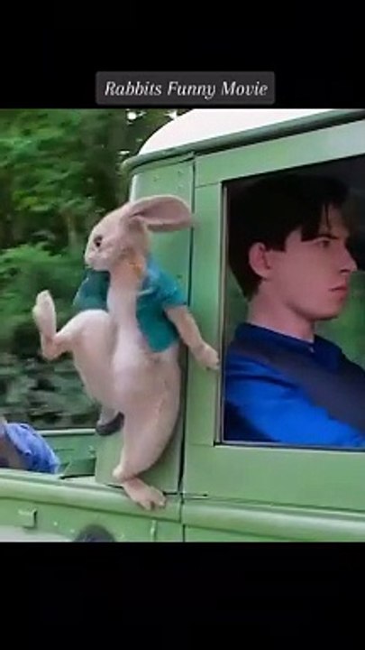 Comedy movies and video