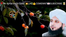 peer ajmal raza qadri life changing bayan || Duniya Se Ibrat Hasil Kare || Ajmal Raza Qadri