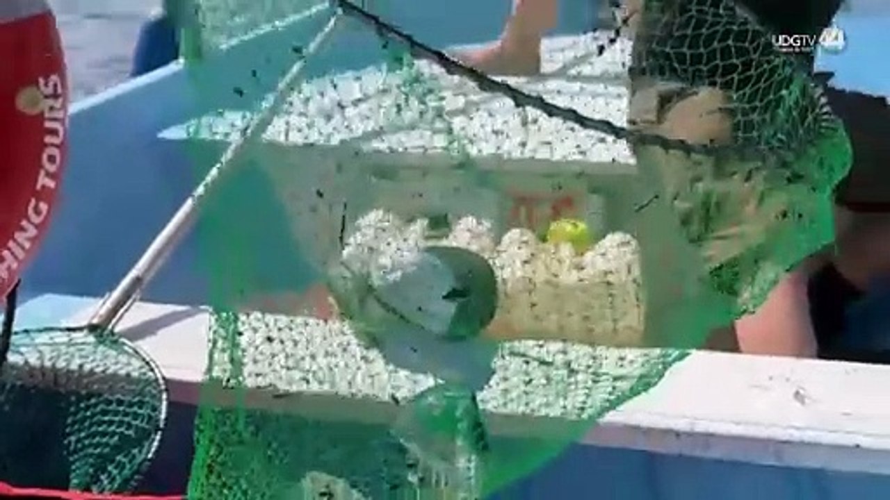 Primer torneo de pesca de basura en Puerto Vallarta y Bahía de Banderas