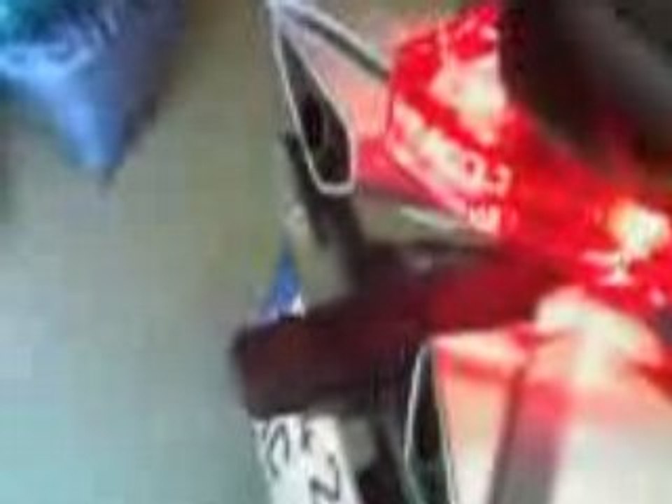 Mon brelon a bouffé du lion (1)