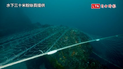 海底「死亡長城」刺網驚現！南方四島海域復育成效令人憂慮🚫
