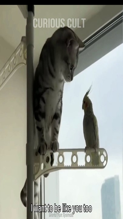 पोपट का हो गया पोपट