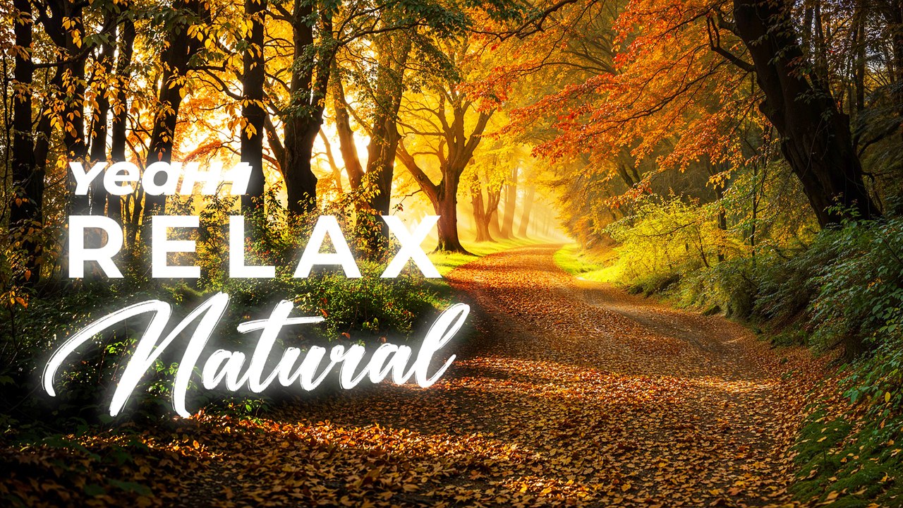 Stress Relief Through Soothing Music | YeaH1 Relax Natural