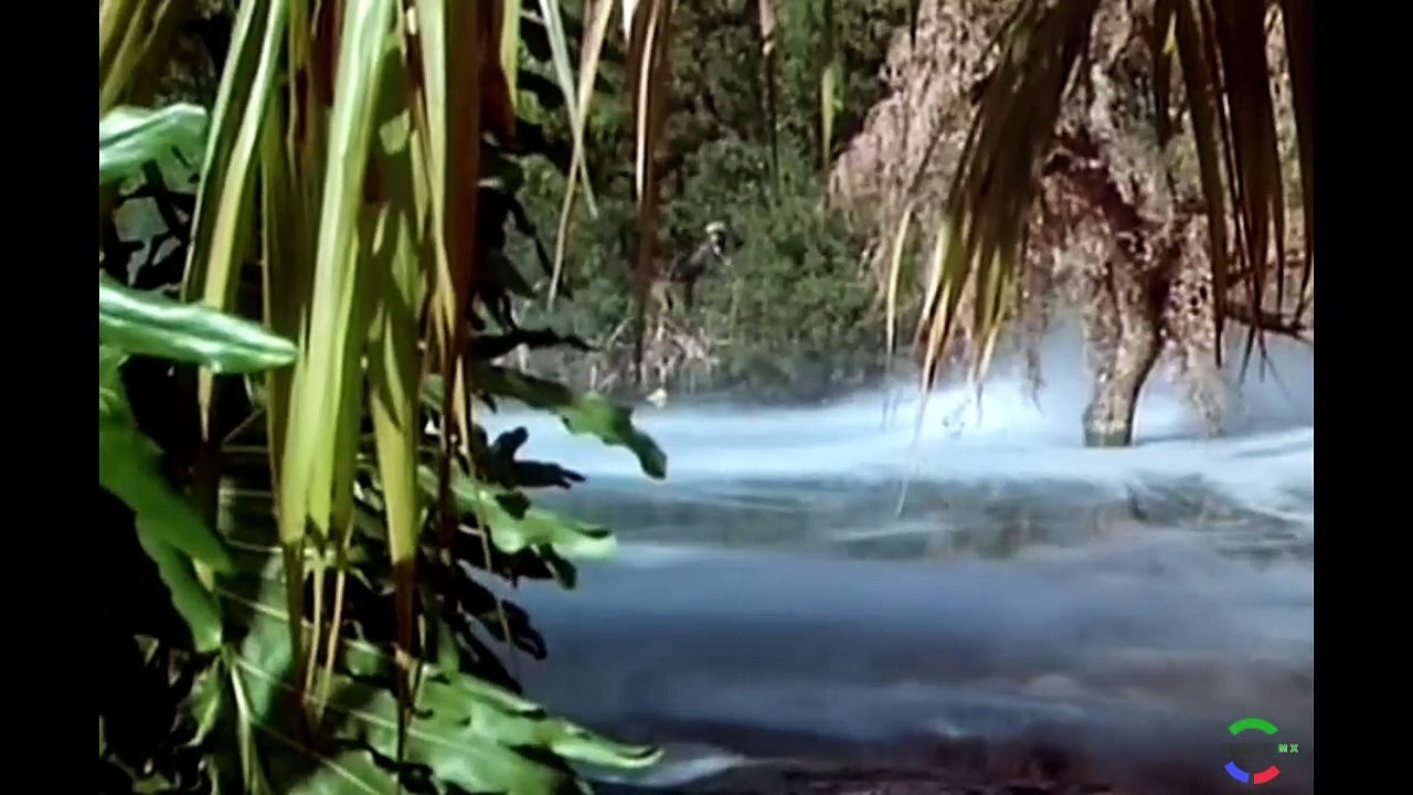 Los Cuentos Del Mono De Oro  1x7